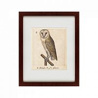 картина: one owl, 1560 в Нальчике