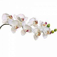 искусственный цветок орхидея белая 85 см в Нальчике