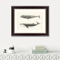 картина: the california gray whale (rhachieanectes claucus), 1857 в Нальчике