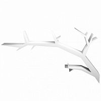 полка ветка большая белая от odingeniy в Нальчике