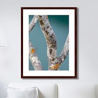 картина: trees on the galapagos islands, ecuador no3 в Нальчике