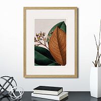 картина: exotic plants of the world №14, 1815г. в Нальчике