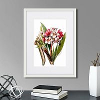 картина: caribian flora pink plumeria flower branch, 1740г. в Нальчике