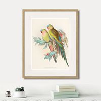 картина: love parrots, 1850г. в Нальчике