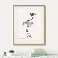 картина: ketupa, 1867г. в Нальчике