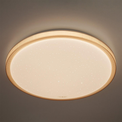 потолочный светодиодный светильник eurosvet sandy 40015/1 led кофе в Нальчике