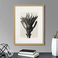 картина: botanical philosophy of forms №8, 1912г. в Нальчике