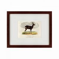 картина: a roebuck, 1830 в Нальчике