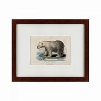 картина: white polar bear on an ice, 1830 в Нальчике