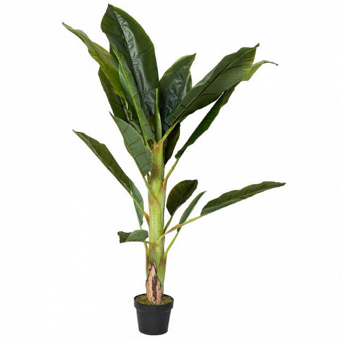 декор банановый куст в Нальчике