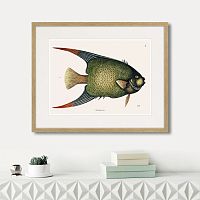 картина: marine life №3, 1725г. в Нальчике