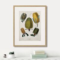 картина: exotic plants of the world №1, 1815г. в Нальчике