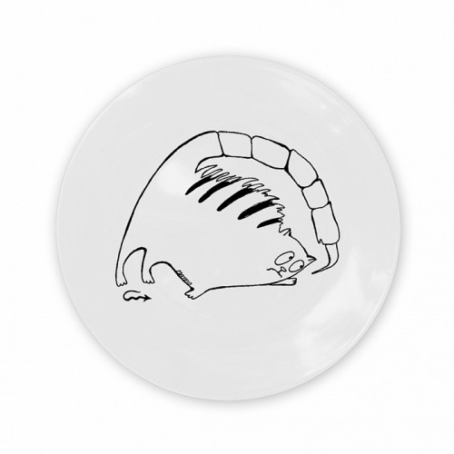 тарелка кот-скорпион в Нальчике