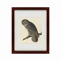 картина: great gray owl, 1834 в Нальчике