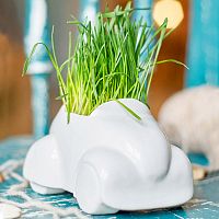 набор для выращивания eco машина в Нальчике