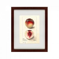 картина: watercolor collection, drawing №4, 1905 в Нальчике