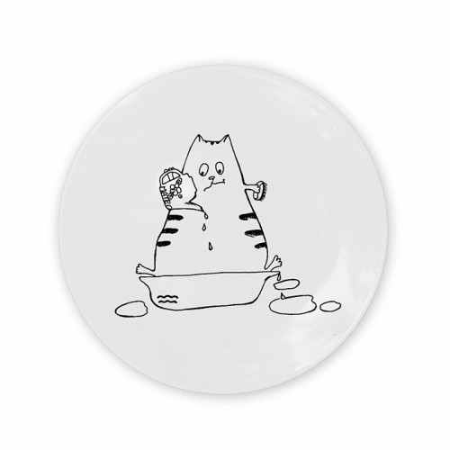 тарелка кот-водолей в Нальчике