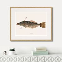 картина: marine life №6, 1725г. в Нальчике