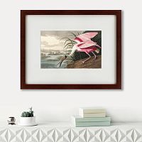 картина: roseate spoonbill, 1827 в Нальчике