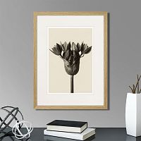 картина: botanical philosophy of forms №5, 1912г. в Нальчике