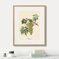 картина juicy fruit lithography №13, 1870 г., 42х52 см в Нальчике