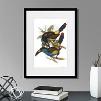 картина: toucans №4, 1849г. в Нальчике