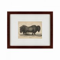 картина: bison, 1828 в Нальчике