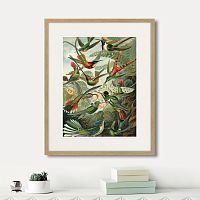 картина: art forms of nature №1, 1897г. в Нальчике