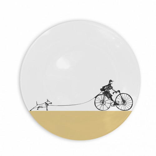 тарелка прогулка в Нальчике