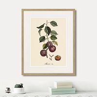 картина: juicy fruit lithography №6, 1870г. в Нальчике