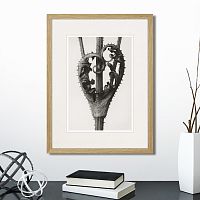 картина: botanical philosophy of forms №1, 1912г. в Нальчике