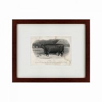 картина: a devon steer, 1869 в Нальчике