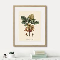 картина: juicy fruit lithography №8, 1870г. в Нальчике