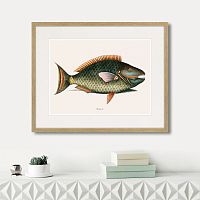 картина: marine life №5, 1725г. в Нальчике