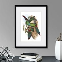 картина: toucans №5, 1849г. в Нальчике