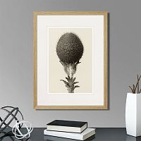 картина: botanical philosophy of forms №6, 1912г. в Нальчике