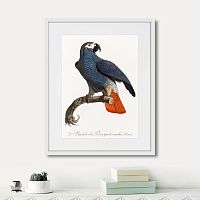 картина: beautiful parrots №5, 1872г. в Нальчике