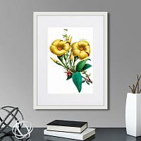 картина: caribian flora yellow allamanda, 1740г. в Нальчике