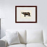 картина: rhinoceros ancienne gravure, 1849 в Нальчике