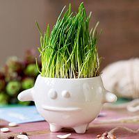 набор для выращивания eco кру в Нальчике