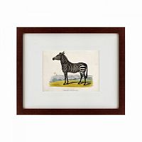 картина: a zebra, 1830 в Нальчике