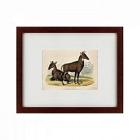 картина: two nilgais, 1830 в Нальчике