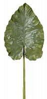 декор giant taro leaf в Нальчике