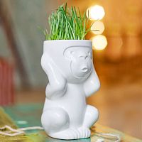 горшок для растений eco игнорик в Нальчике