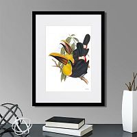 картина: toucans №1, 1849г. в Нальчике