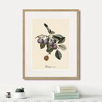 картина: juicy fruit lithography №5, 1870г. в Нальчике