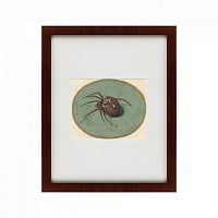 картина: spider, 1690 в Нальчике