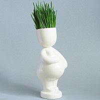 набор для выращивания eco мама в Нальчике