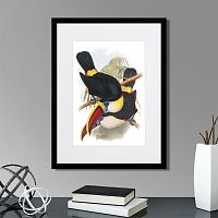 картина: toucans №2, 1849г. в Нальчике