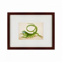 картина: green iguana, 1701 в Нальчике